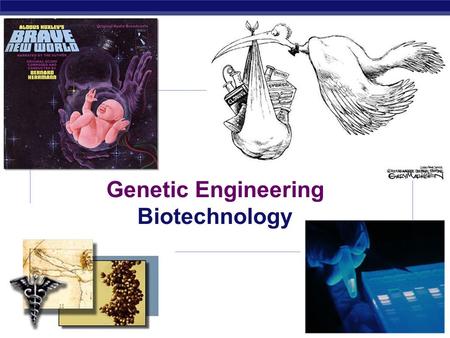 Regents Biology 2006-2007 Genetic Engineering Biotechnology.