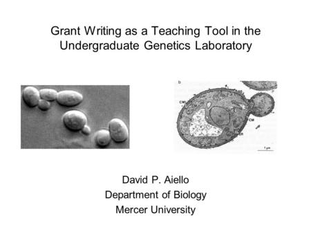 Grant Writing as a Teaching Tool in the Undergraduate Genetics Laboratory David P. Aiello Department of Biology Mercer University.