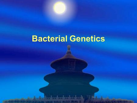 Bacterial Genetics. Bacterial Genome  Chromosome:  Plasmid: Plasmids are extrachromosomal genetic elements capable of autonomous replication. An episome.