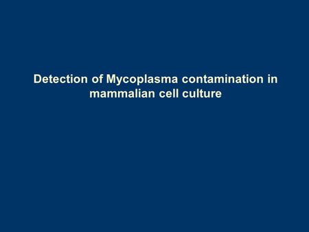 Detection of Mycoplasma contamination in mammalian cell culture