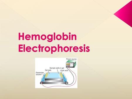 Hemoglobin Electrophoresis