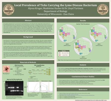 Our ongoing study has been to survey local deer tick populations in a 50-150 mile radius of Eau Claire for the presence of Borrelia burgdorferi bacteria.