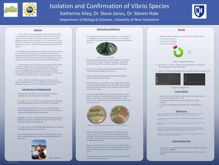 RESEARCH POSTER PRESENTATION DESIGN © 2012 www.PosterPresentations.com QUICK START (cont.) How to change the template color theme You can easily change.