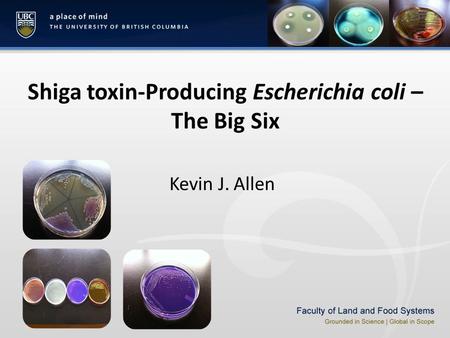 Shiga toxin-Producing Escherichia coli – The Big Six