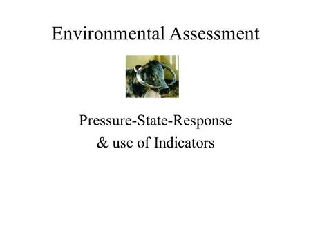 Environmental Assessment