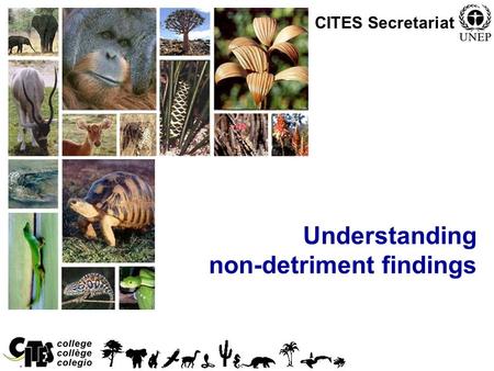 1 Convention on International Trade in Endangered Species of Wild Fauna and Flora Understanding non-detriment findings CITES Secretariat.