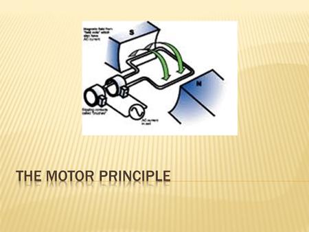  many devices depend on the electric motor including:  fans  computers  elevators  car windows  amusement park rides.