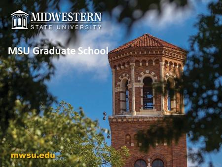 MSU Graduate School. VALUES: Advocacy Innovation Ethics Collaboration Growth Inclusiveness VISION: To develop a diverse community of excellence by developing.