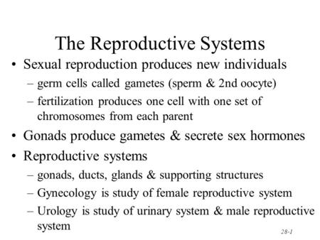 The Reproductive Systems