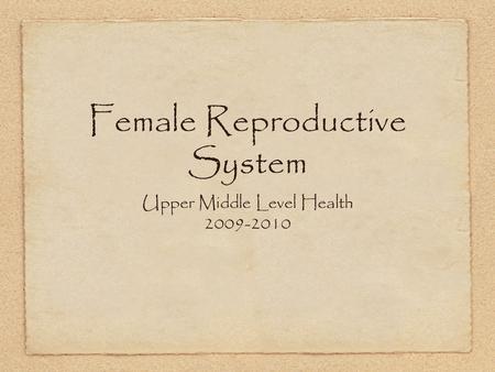 Female Reproductive System