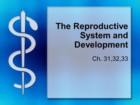 The Reproductive System and Development Ch. 31,32,33.