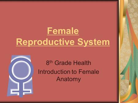 Female Reproductive System