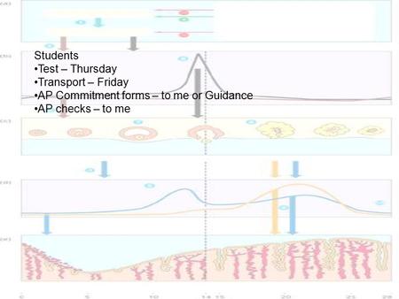 Students Test – Thursday Transport – Friday