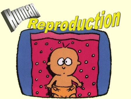 Human Reproduction.