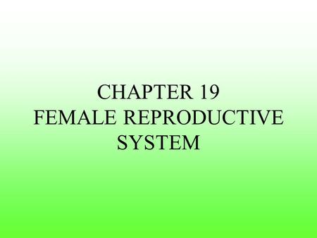 CHAPTER 19 FEMALE REPRODUCTIVE SYSTEM