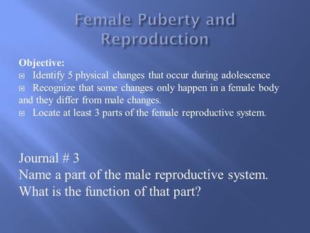 Female Puberty and Reproduction