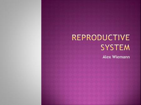 Alex Wiemann.  The function of the reproductive system is to produce offspring.