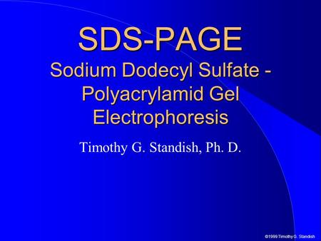 SDS-PAGE Sodium Dodecyl Sulfate - Polyacrylamid Gel Electrophoresis