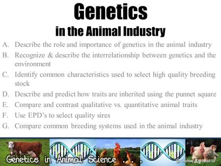 Genetics in the Animal Industry A.Describe the role and importance of genetics in the animal industry B.Recognize & describe the interrelationship between.