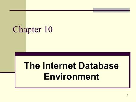 The Internet Database Environment