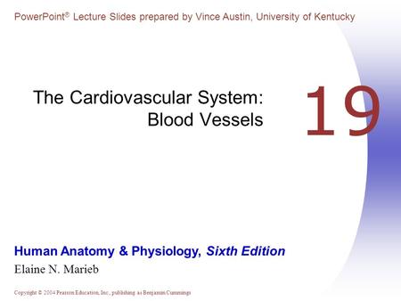 The Cardiovascular System: Blood Vessels