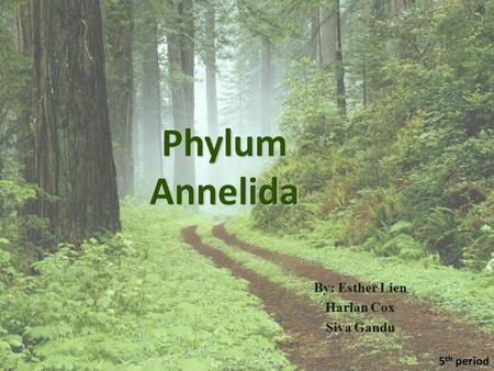 Phylum Annelida By: Esther Lien Harlan Cox Siva Gandu 5 th period.