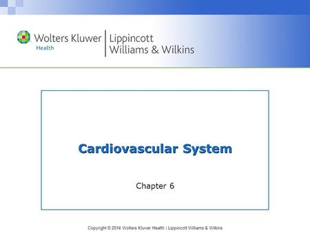 Cardiovascular System