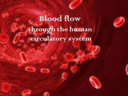 Blood flow through the human circulatory system. God is Life Throughout the Old Testament God has used the symbol of blood to identify life. Leviticus.