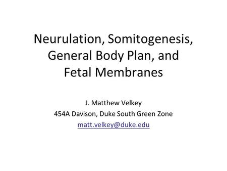 Neurulation, Somitogenesis, General Body Plan, and Fetal Membranes