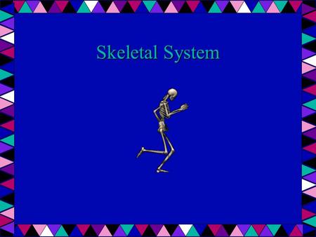 Skeletal System. Components - Cartilage - Bone - Joints - Ligaments (bone to bone) - Tendons (muscle to bone)