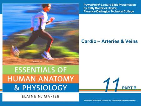 Cardio – Arteries & Veins