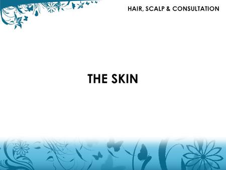 THE SKIN HAIR, SCALP & CONSULTATION. THE SKIN EPIDERMIS DERMIS HYPODERMIS.