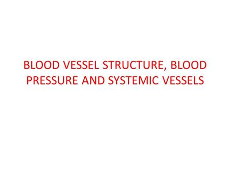 BLOOD VESSEL STRUCTURE, BLOOD PRESSURE AND SYSTEMIC VESSELS