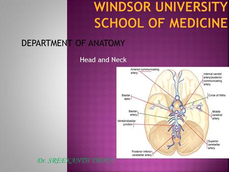 WINDSOR UNIVERSITY SCHOOL OF MEDICINE