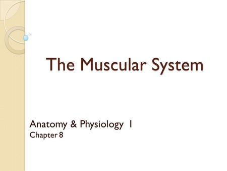 Anatomy & Physiology I Chapter 8