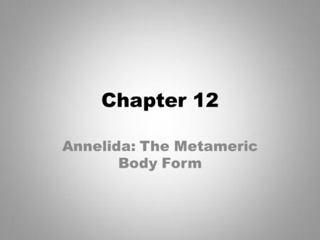 Annelida: The Metameric Body Form