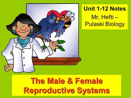 The Male & Female Reproductive Systems