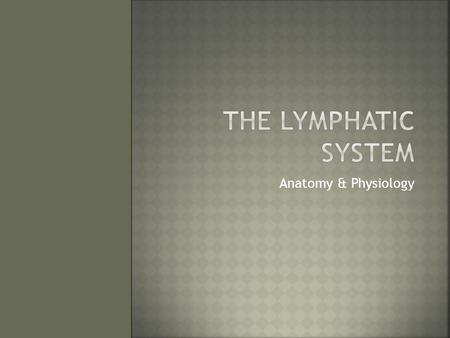 Anatomy & Physiology.  2 Main Parts  Lymphatic vessels  Lymphoid tissues/organs  FUNCTIONS:  Drain excess fluid (edema) and returns it to blood 