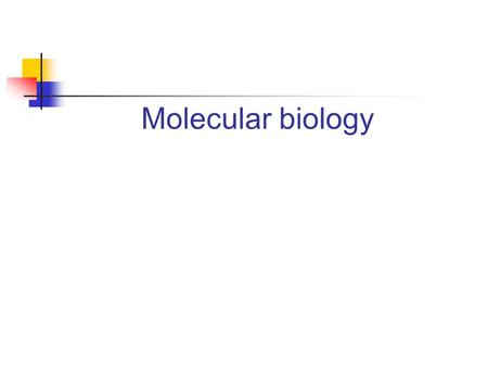 Molecular biology. Course structure  Polymerase Chain Reaction RNA Isolation cDNA Synthesis Amplification Electrophoresis  Transfection.