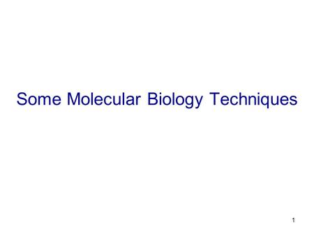 Some Molecular Biology Techniques 1. Some molecular things Restriction Enzyme digestion Ligation of DNA Cloning DNA PCR cDNA synthesis Gel electrophoresis.