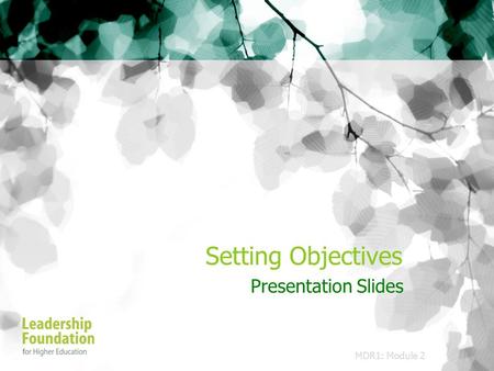 Setting Objectives Presentation Slides MDR1: Module 2.