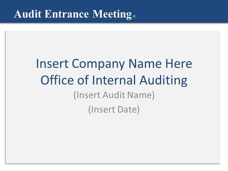 Insert Company Name Here Office of Internal Auditing