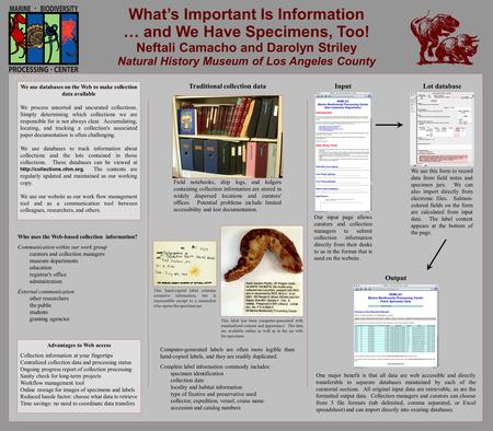 What’s Important Is Information … and We Have Specimens, Too! Neftali Camacho and Darolyn Striley Natural History Museum of Los Angeles County We use databases.