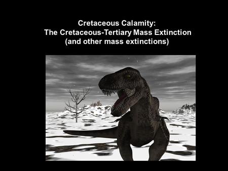 Cretaceous Calamity: The Cretaceous-Tertiary Mass Extinction (and other mass extinctions)