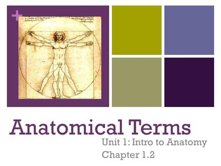 Unit 1: Intro to Anatomy Chapter 1.2