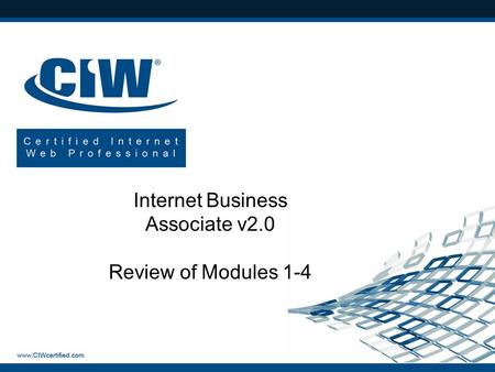 Internet Business Associate v2.0 Review of Modules 1-4