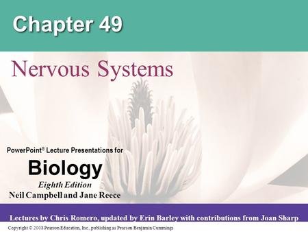 Chapter 49 Nervous Systems.