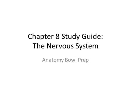 Chapter 8 Study Guide: The Nervous System