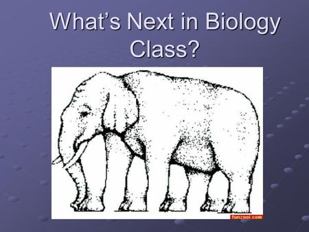 What’s Next in Biology Class?. Optical Illusion 1 Optical Illusion 12.