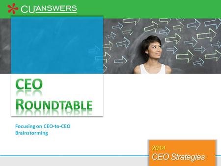 Focusing on CEO-to-CEO Brainstorming November 6, 2013 at the Frederik Meijer Gardens & Sculpture Park 2014 CEO Strategies.